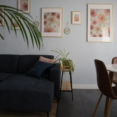 Lila23 2 Lennert Blankenberge